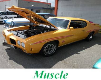 muscle